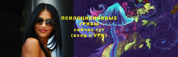 дурь Переславль-Залесский