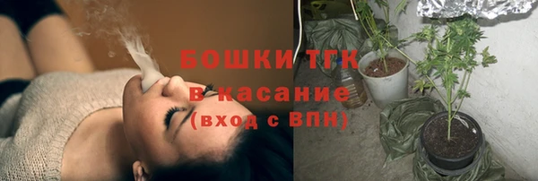 мдпв Осташков