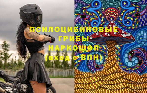 хмурый Пестово